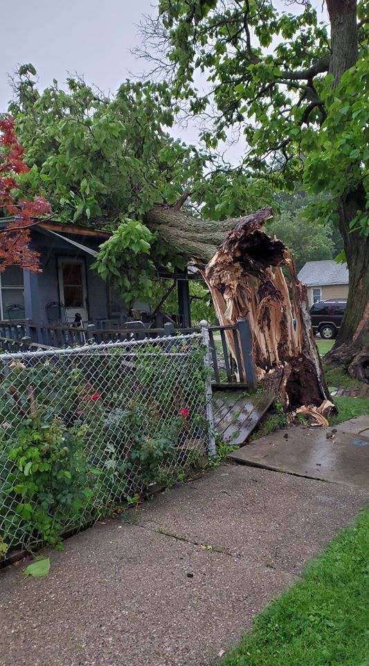 Tree falls on a Racine home